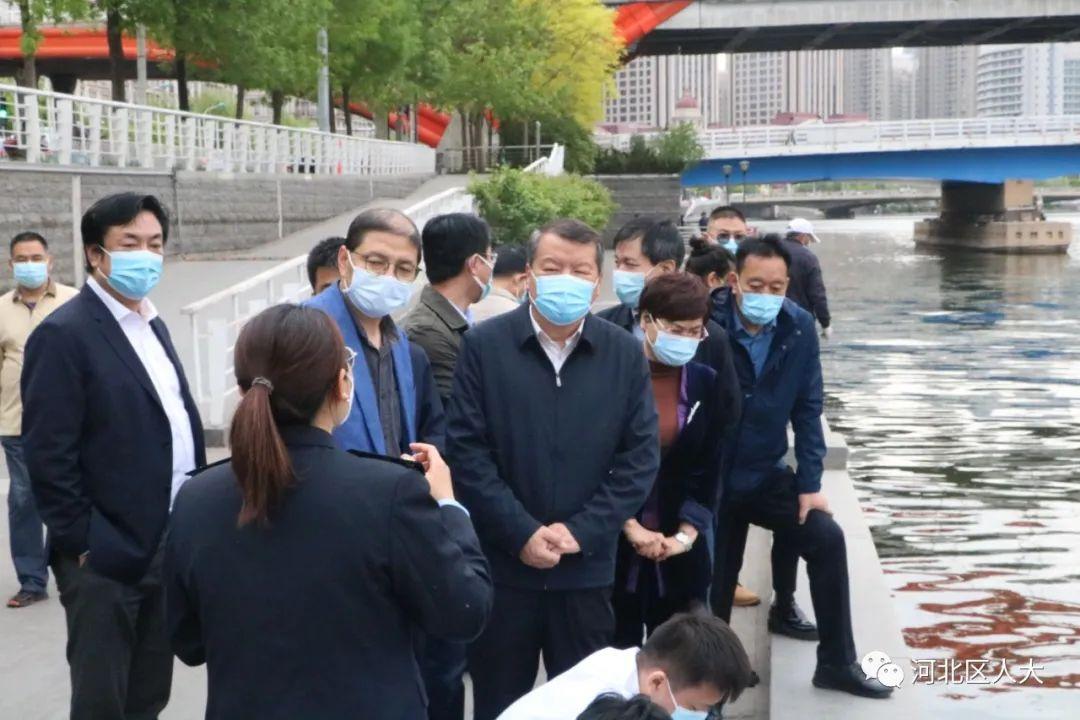 河北環保局最新動態，推動環保行動，共建綠色家園