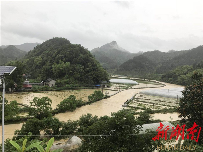 零溪鎮最新天氣預報匯總