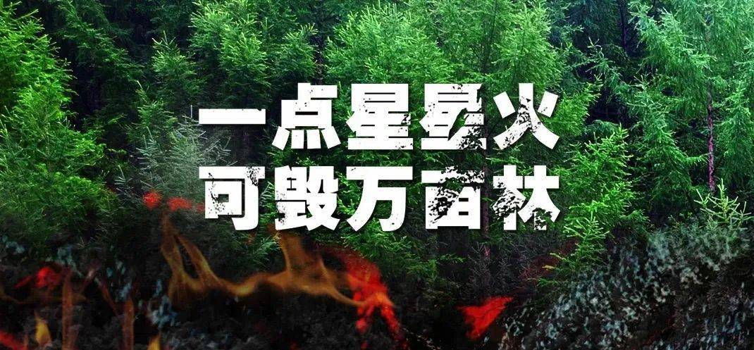 今晚上澳門開什么,系統化評估說明_超值版32.43