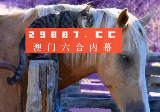 2024年澳門精準免費大全必49,確保成語解釋落實的問題_領航款91.975