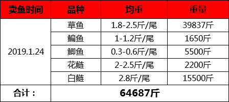 2024新澳門6合彩官方網(wǎng),功能性操作方案制定_The12.719