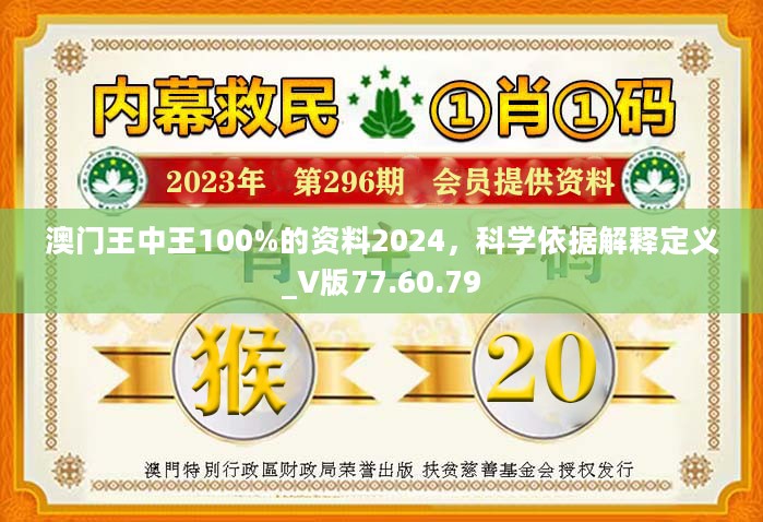 2024年新澳門王中王免費,綜合研究解釋定義_Z94.606