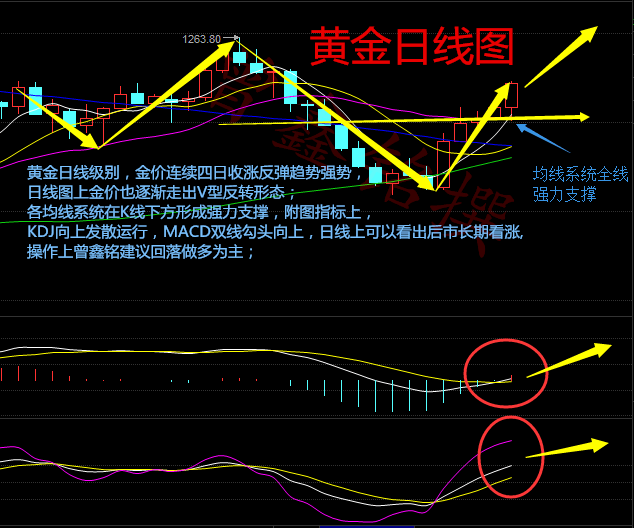 澳門新澳一馬中特｜全面把握解答解釋策略