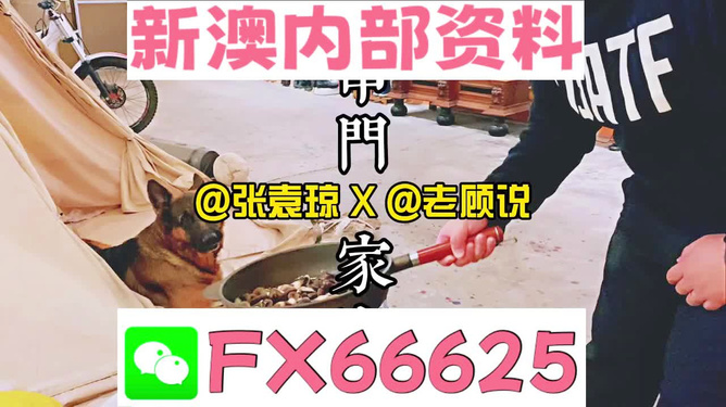 新澳門精準資料大全管家婆料,收益成語分析定義_tShop82.142