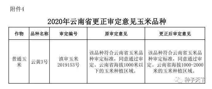 最新審定重塑標準與質量，時代背景下的新要求