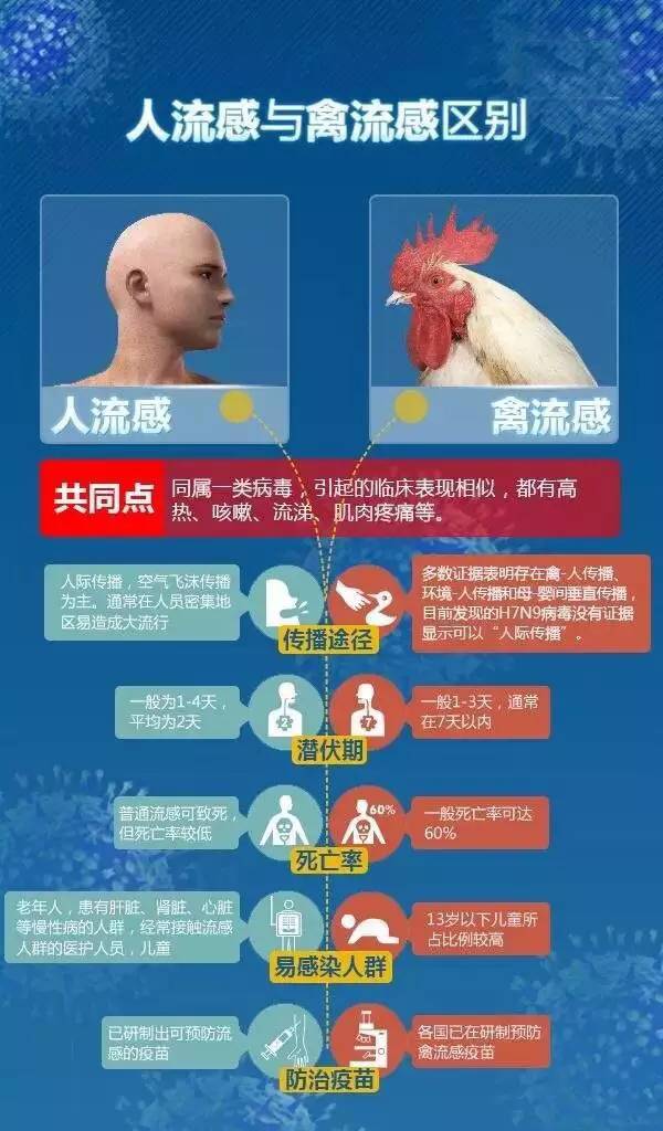 四川地區H7N9最新消息深度分析與展望（2017年最新版）