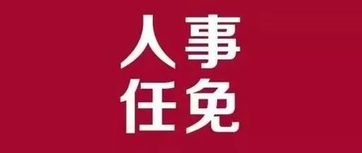 青州市審計局人事大調整，重塑地方審計事業(yè)，推動新發(fā)展