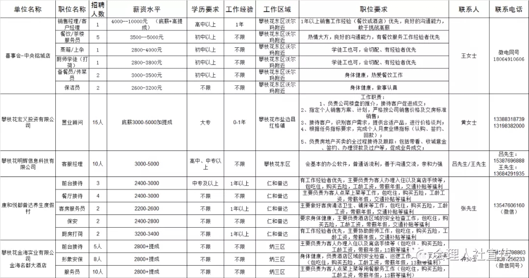 攀枝花會計招聘網(wǎng)最新動態(tài)解析，最新招聘信息深度解讀