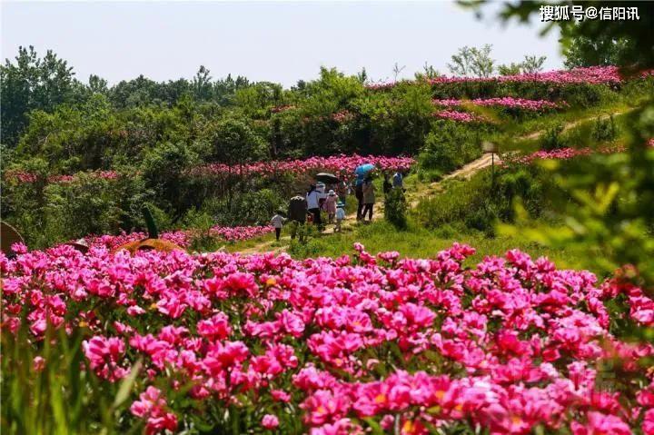 芍藥山鄉最新領導引領鄉村振興新篇章啟幕