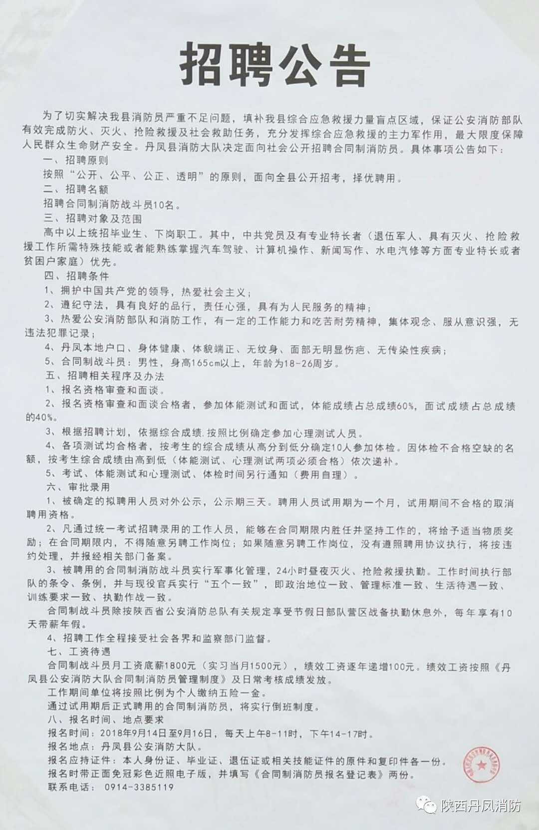 民勤縣人民政府辦公室最新招聘信息揭秘，崗位、要求及詳解