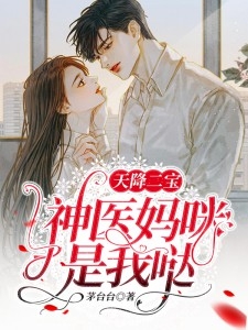 劉照婷最新小說，探索未知的魅力與深邃世界