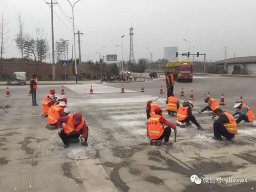 楊凌升市迎新篇章，城市煥發活力新氣象