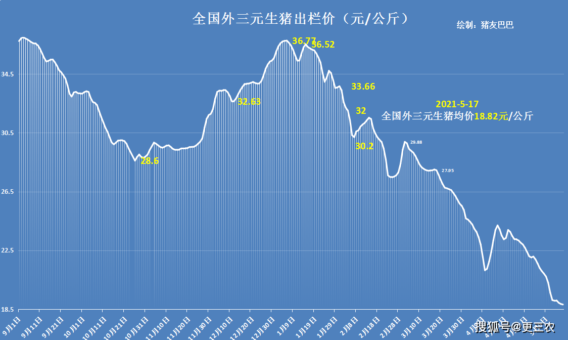 今日王米價格動態(tài)與市場分析報告